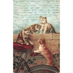 n°27187 - Animaux - Chat -...
