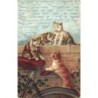 n°27187 - Animaux - Chat - Chats sur un mur, et sur la selle d'un vélo