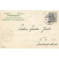 n°27246 - Carte Gaufrée - Clapsaddle - Garçon près de moineaux