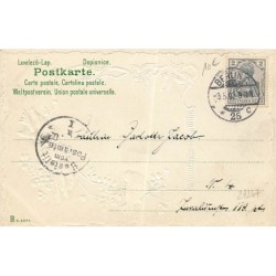 n°27247 - Carte Gaufrée - Clapsaddle - Fillette près d'oiseaux
