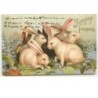 n°13042 - Joyeuses Pâques - Lapins