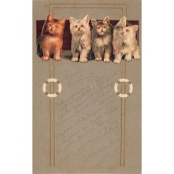 n°27395 - Carte Gaufrée -...