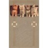 n°27395 - Carte Gaufrée - Animaux - Chats - Quatre chatons