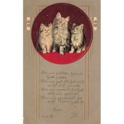 n°27396 - Carte Gaufrée -...
