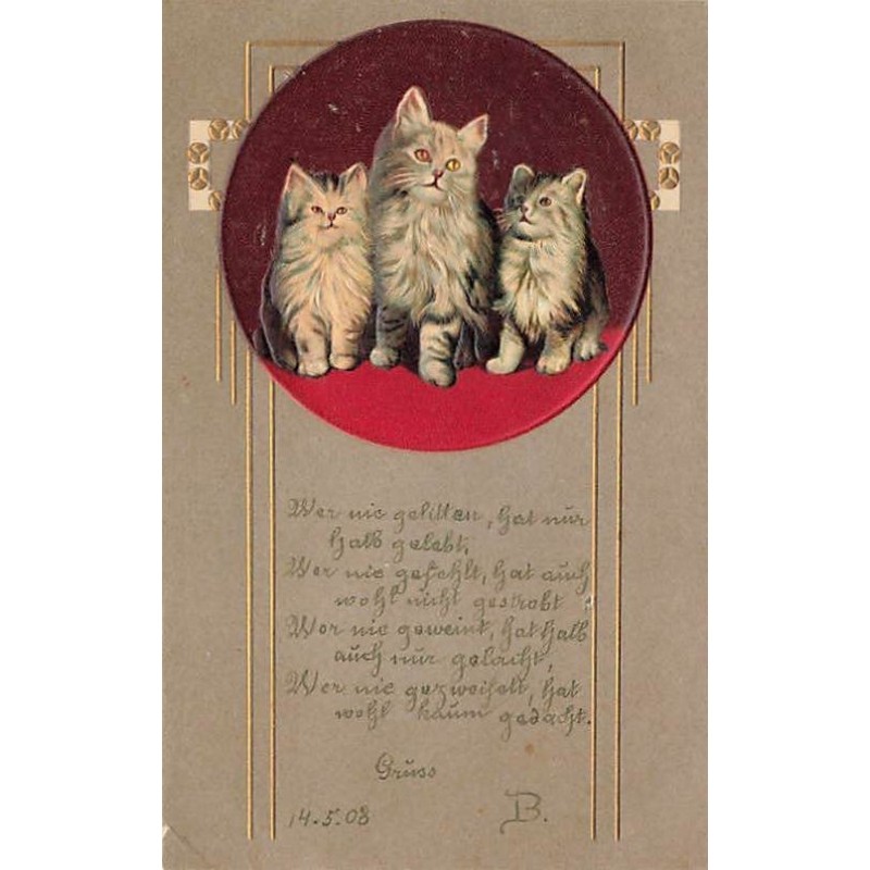 n°27396 - Carte Gaufrée - Animaux - Trois chats dans un médaillon - Cat