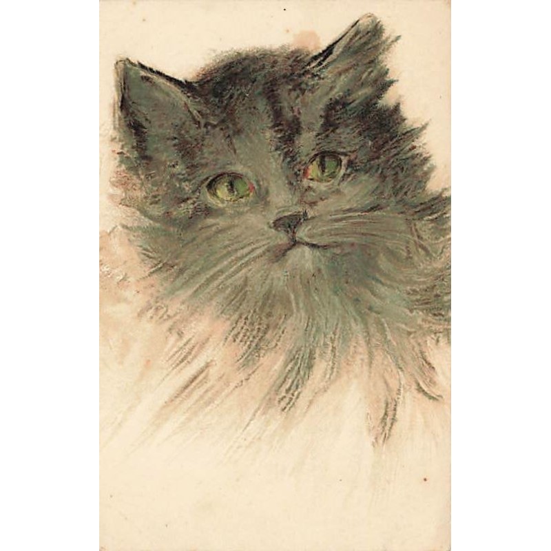 n°27547 - Animaux - Portrait d'un chat gris aux yeux vert