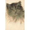 n°27547 - Animaux - Portrait d'un chat gris aux yeux vert