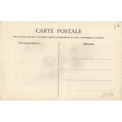 n°27548 - Fantaisie - Pingouin - Porte Bonheur