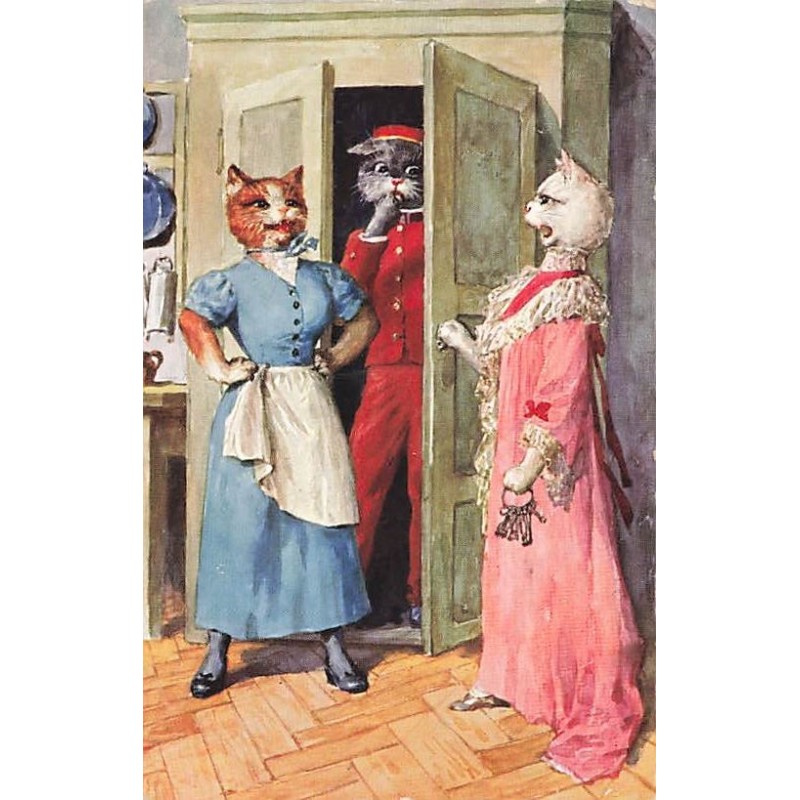 n°27561 - Fantaisie - Animaux habillés - Chat caché dans un placard - Thiele