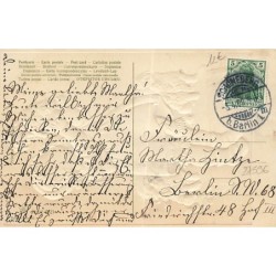 n°27596 - Carte Gaufrée - Flatscher - Fillette câlinant des chiens