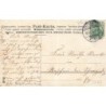 n°27767 - Carte Gaufrée - MSIB 13812 - Nouvel An - Fillettes plantant des trèfles et des myosothis