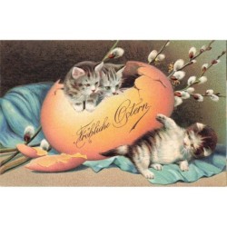 n°27775 - Carte Gaufrée -...
