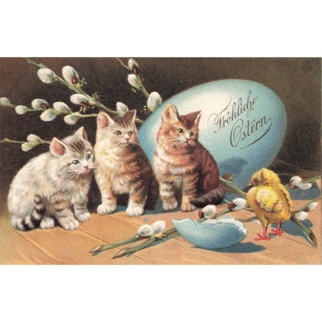 n°27776 - Carte Gaufrée - Pâques - Fröhliche Ostern - Chatons près d'un oeuf, regardant un poussin - chat - cat