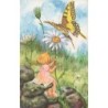 n°27781 - Fantaisie - H. Dockal - Petite elfe montrant une marguerite à un papillon
