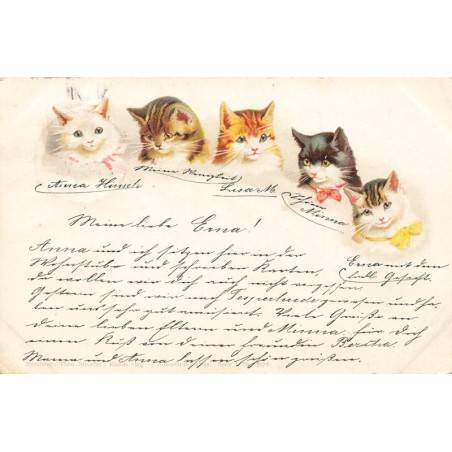 n°27794 - Animaux - Stroefer's - Têtes de Chats portant des rubans