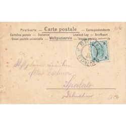 n°27797 - Fantaisie - Clapsaddle - Jeune fille légèrement de dos avec du myosotis