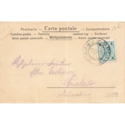 n°27799 - Fantaisie - Clapsaddle - Jeune garçon de profil avec des branches fleuries