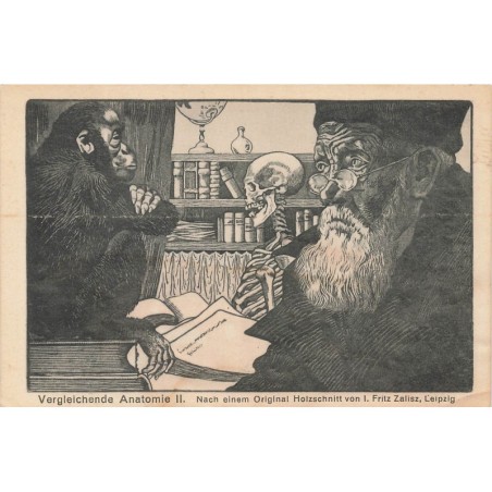 n°27809 - Anatomie Comparée - Homme face à un singe - Squelette - Mort - Fritz Zalisz Leipzig
