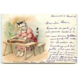 n°13160 - Chat habillé...
