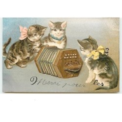 n°13161 - Chatons avec des...