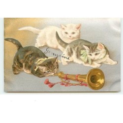 n°13162 - Chatons avec des...