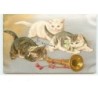 n°13162 - Chatons avec des noeuds autour d'un clairon - chat