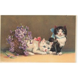 n°27894 - Carte Gaufrée -...