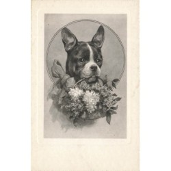 n°27950 - Animaux -...