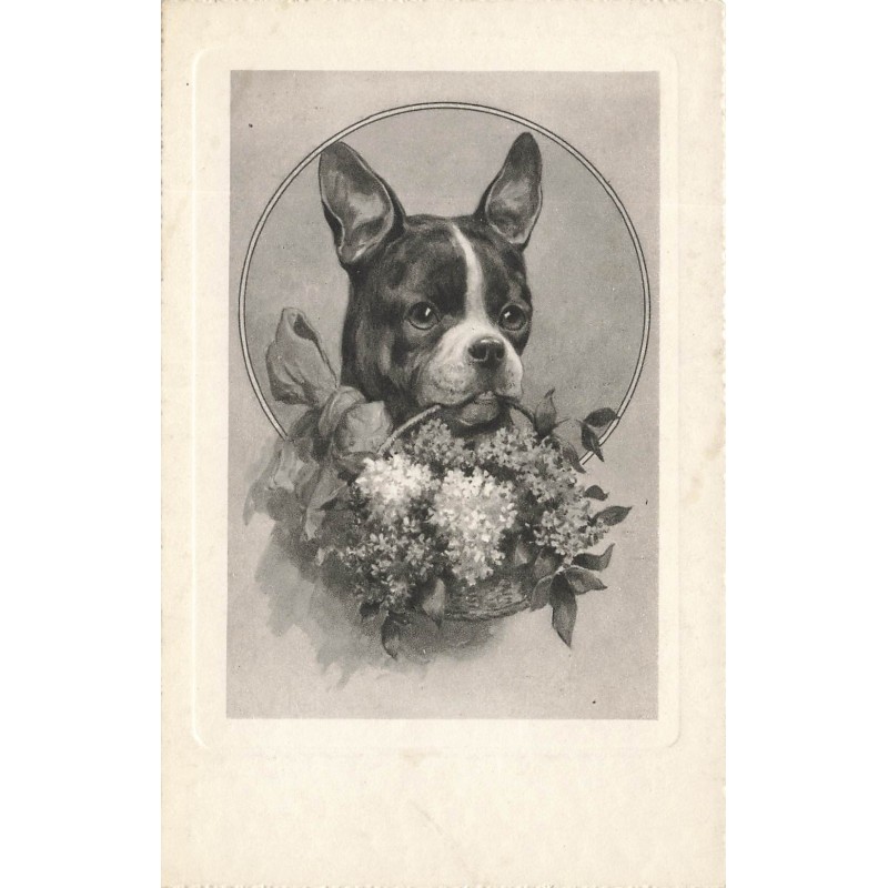 n°27950 - Animaux - Bouledogue français portant un panier de fleurs dans la gueule