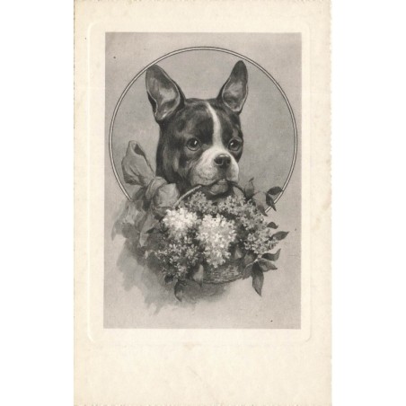 n°27950 - Animaux - Bouledogue français portant un panier de fleurs dans la gueule