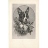 n°27950 - Animaux - Bouledogue français portant un panier de fleurs dans la gueule
