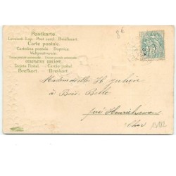 n°13182 - Carte Gaufrée - Bonne Année - Fillette portant un bouquet de roses, et un teckel sous la neige
