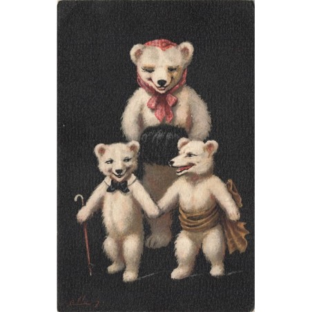 n°27989 - Ellam - Une famille d'Ours Blanc en Peluche humanisés - Teddy Bear