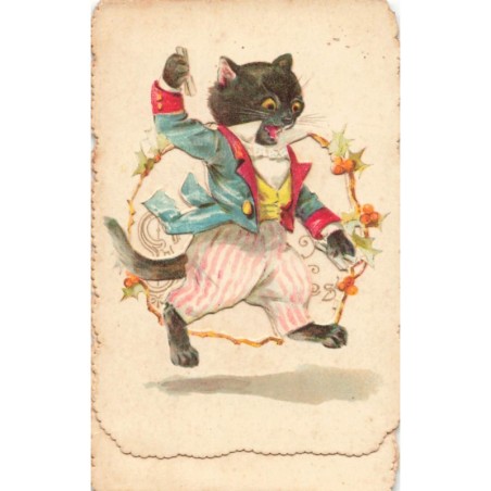 n°27993 - Carte à Système - Fantaisie - Animaux habillés - Chat