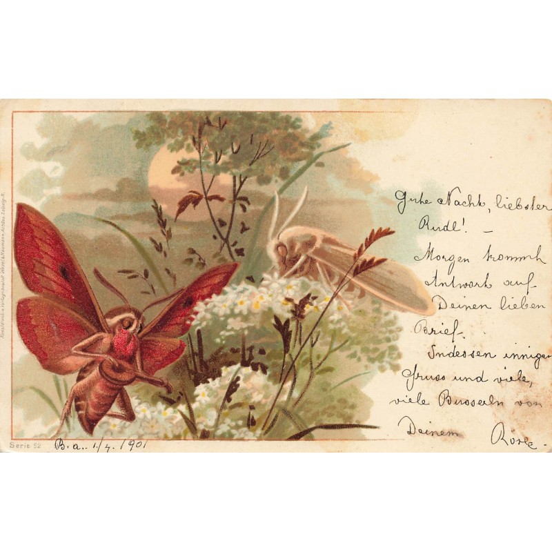 n°28045 - Wezel & Naumann - Papillons de nuit humanisés butinant des fleurs