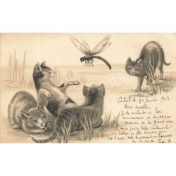 n°28088 - Animaux - Chat -...