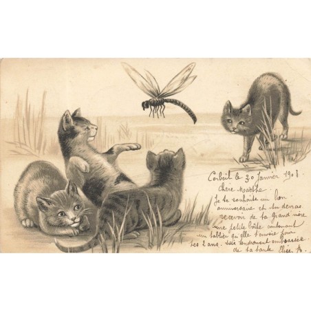 n°28088 - Animaux - Chat - Chats jouant avec une libellule
