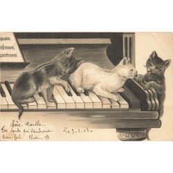 n°28089 - Animaux - Chat -...