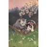 n°28092 - Animaux - Illustrateur Schröpler - Chat - Chats sur un hamac, regardant des abeilles