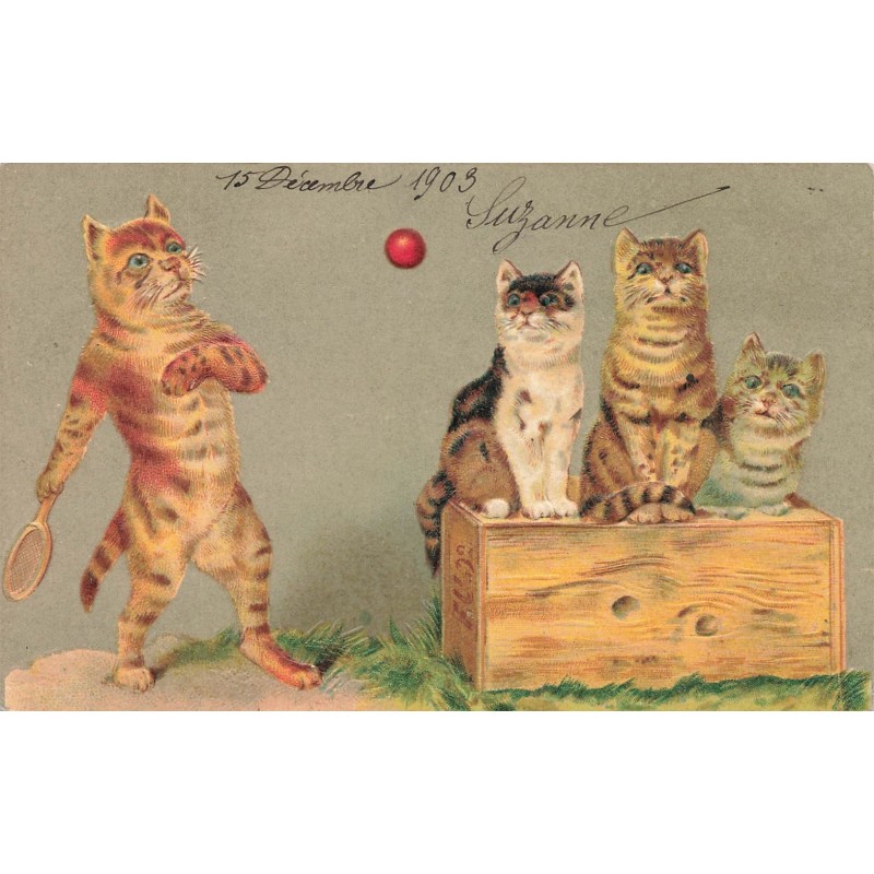 n°28094 - Carte Gaufrée - Chat - Chats, l'un jouant au tennis, les autres regardant