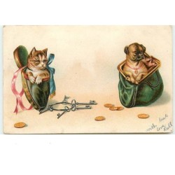 n°13244 - Chat dans une...
