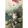 n°28130 - Animaux - Chat - Chat regardant une araignée sur sa toile