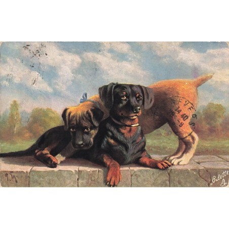 n°28188 - Animaux - Oilette - Deux chiens sur un mur - Teckel
