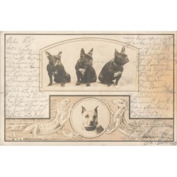 n°28190 - Animaux - Chien -...