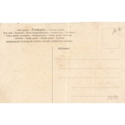 n°28191 - A & MB n°642 - Chat jouant avec un cadenas