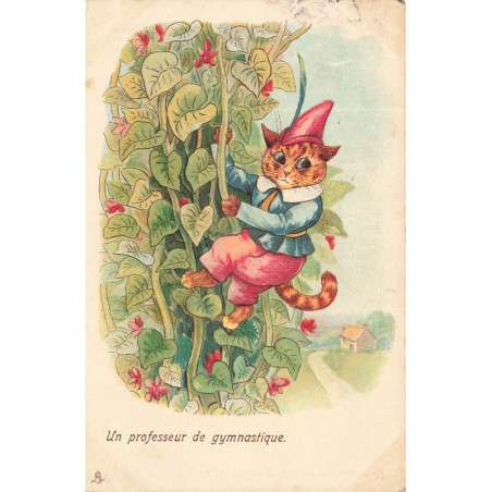 n°28193 - L. Wain - Animaux Habillé - Un Professeur de Gymnastique - Chat montant sur des haricots géants