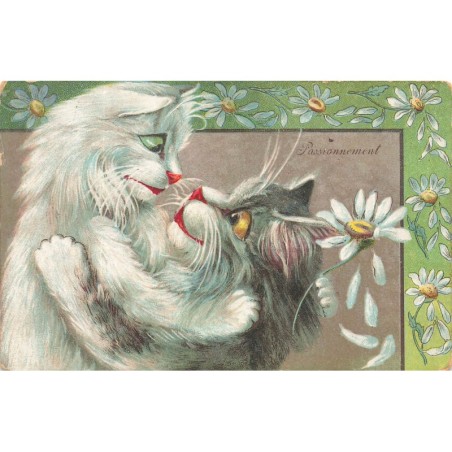 n°28196 - Illustrateur M. Boulanger - Passionnement - Chats et Marguerite