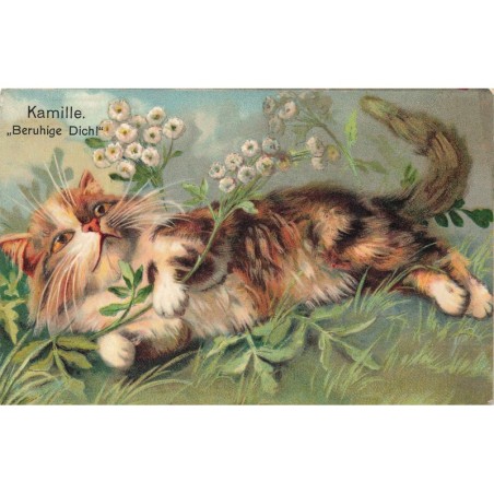 n°28197 - Animaux - Boulanger - Kamille Beruhige Dich - Chat allongé parmi des fleurs