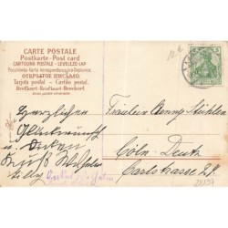 n°28197 - Animaux - Boulanger - Kamille Beruhige Dich - Chat allongé parmi des fleurs