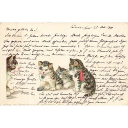 n°28200 - Animaux - Chat -...
